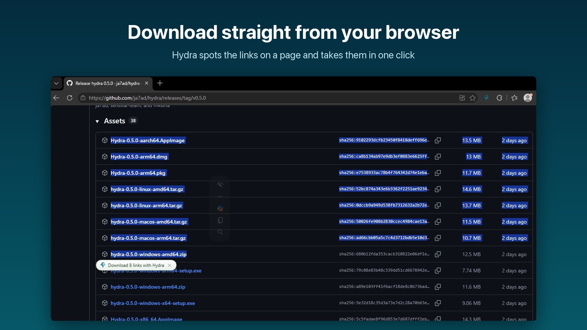 Hydra browser extension integrating with web browser to detect and capture multiple download links directly from a page